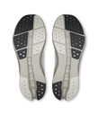 Shoes Cloudsurfer 2 Men
