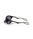 Plantaris Matte Black Prizm Grey