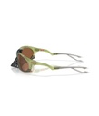 Plantaris Matte Trans Fern Prizm Tungsten