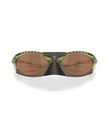 Plantaris Matte Trans Fern Prizm Tungsten