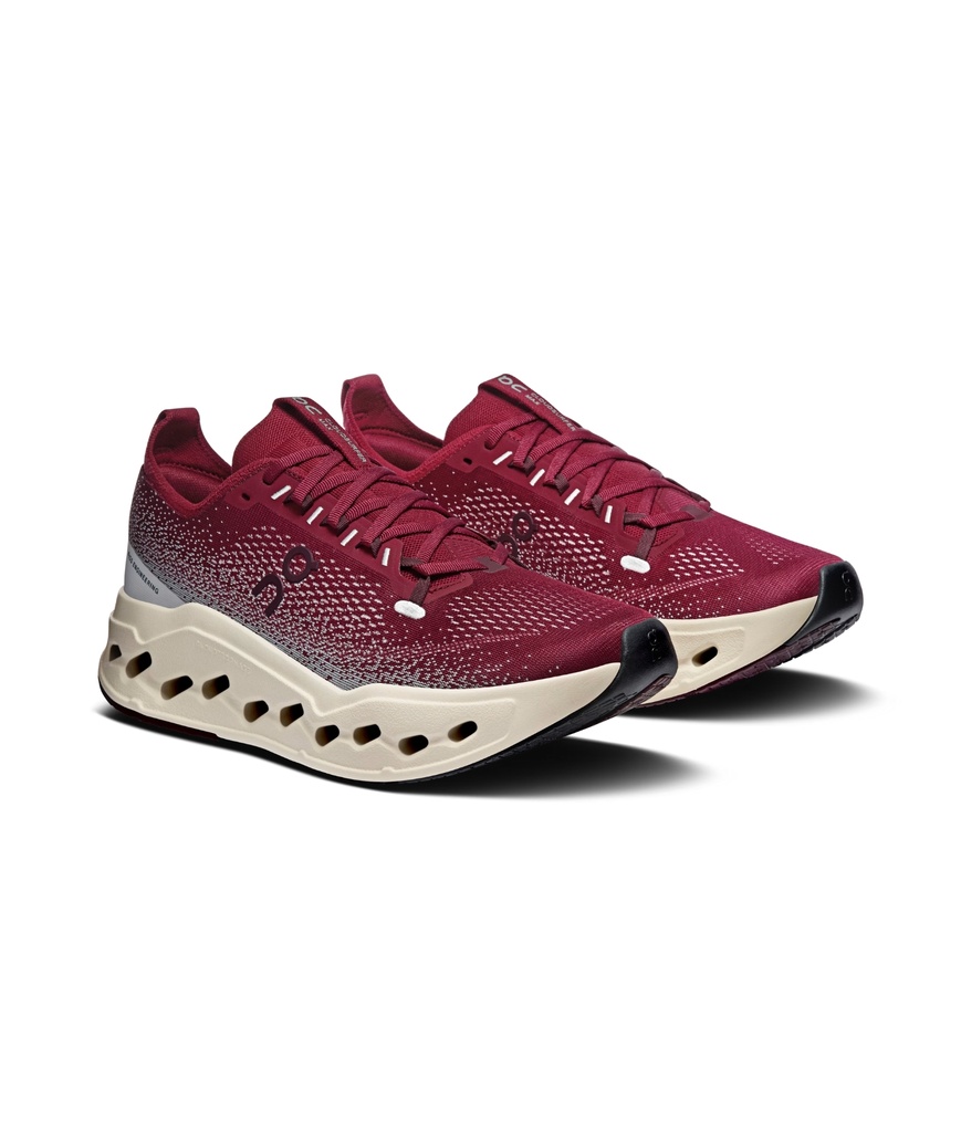 Shoes Cloudsurfer Max Men