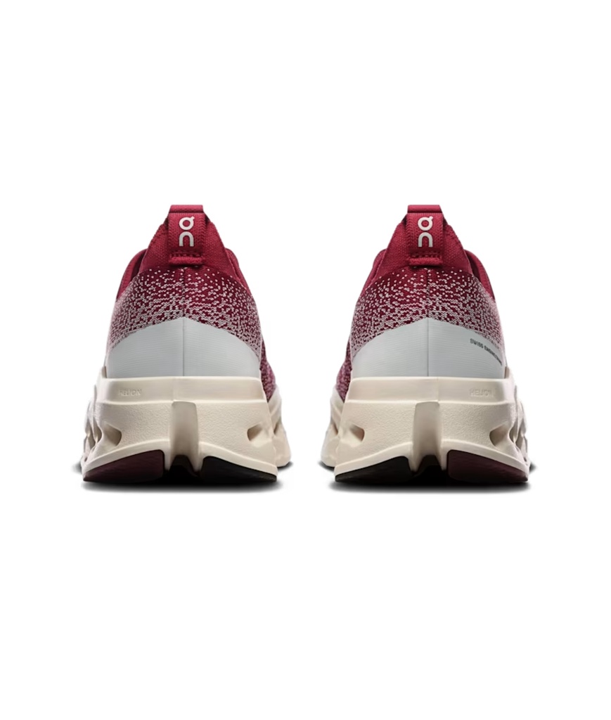 Shoes Cloudsurfer Max Men
