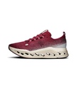 Shoes Cloudsurfer Max Men