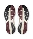 Shoes Cloudsurfer Max Men
