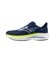 Shoes Wave Rider 29 Men