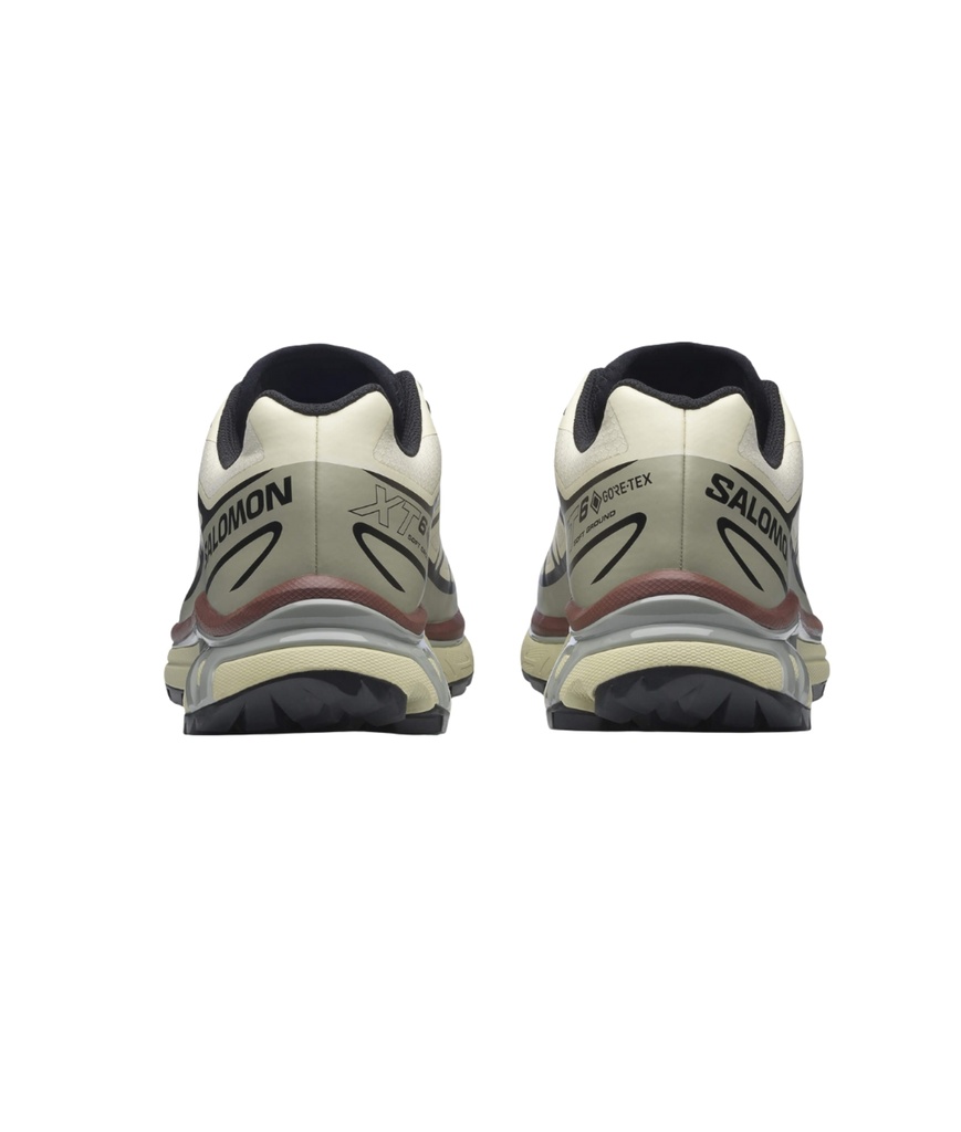 Shoes XT-6 GTX