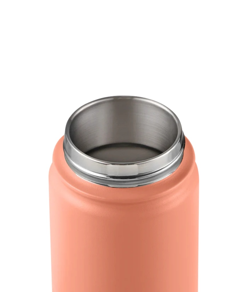 Ace Bottle Camden 18 Oz
