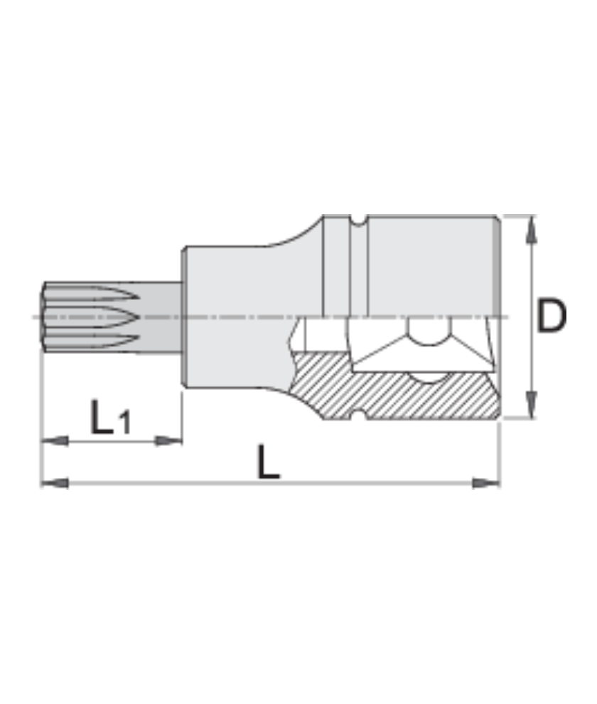 Screwdriver Socket With Tx Profile 1/4" TX 25