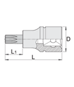Screwdriver Socket With Tx Profile 1/4" TX 25
