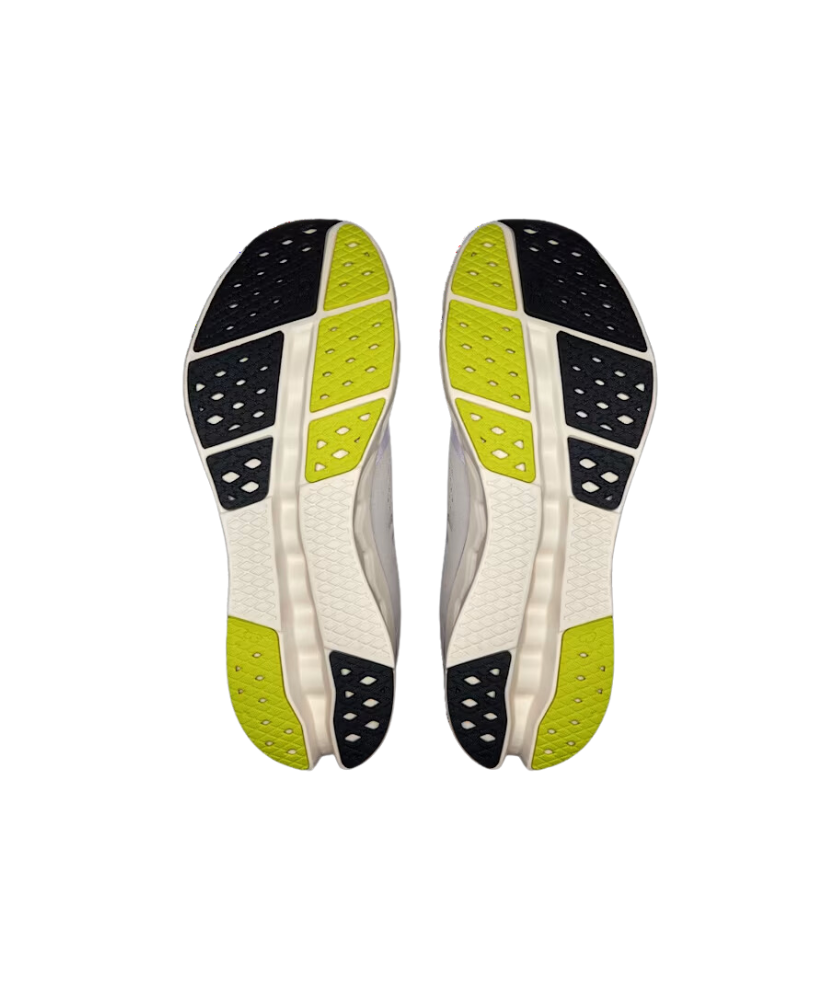 Shoes Cloudsurfer 2 (Men)