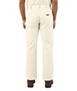 Men's Double Knee Painter Pant