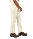 Men's Double Knee Painter Pant