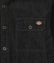 Men's Denim Shirt LS