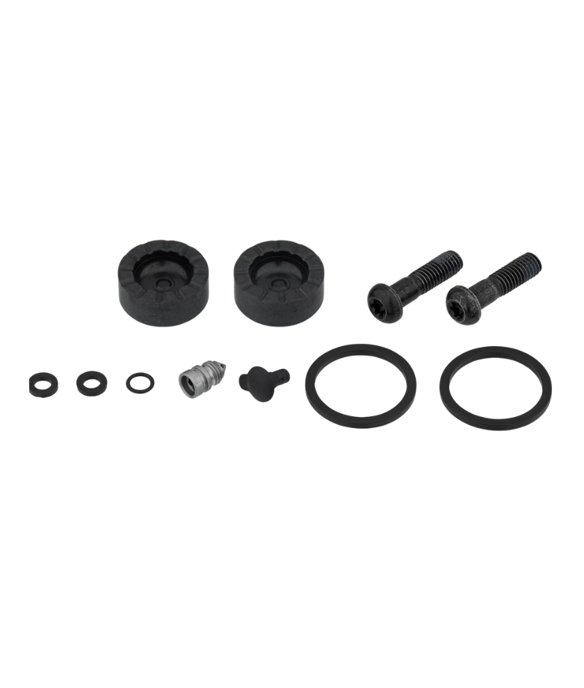 Caliper Service Kit 2 Piston 21mm Frc D1