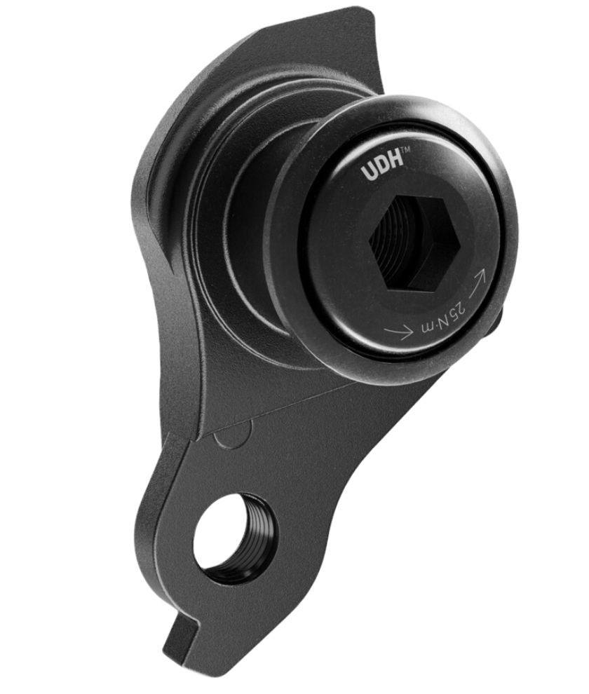 AM AC Udh Derailleur Hanger Al