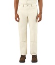 Men's Double Knee Painter Pant