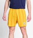 Stripe Pace Shorts 5''