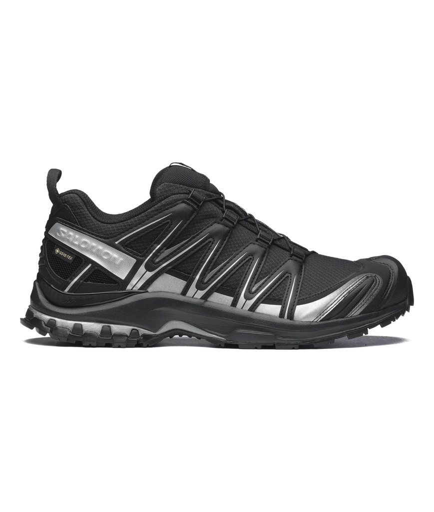 Shoes XA Pro 3D GTX