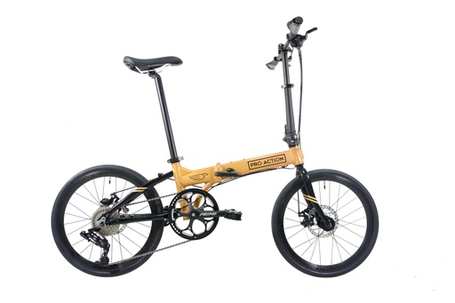 Bicycle Folding 20 Inch Eagle 1x9sp 2020