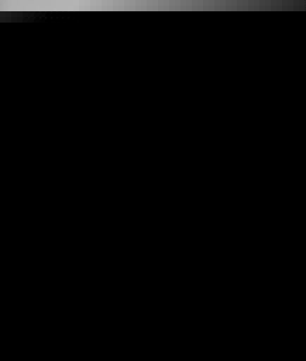 Paisley Combat T-shirt