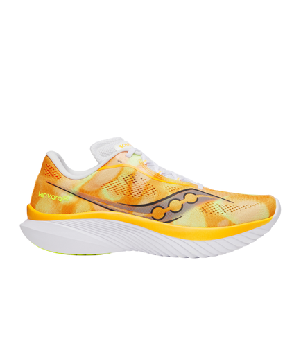 Shoes Kinvara 15 Men