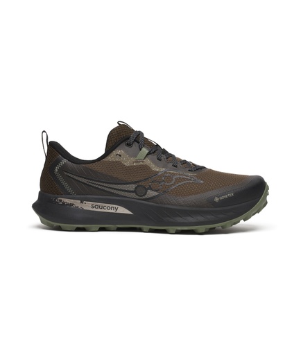 Shoes Peregrine 15 Gtx Men