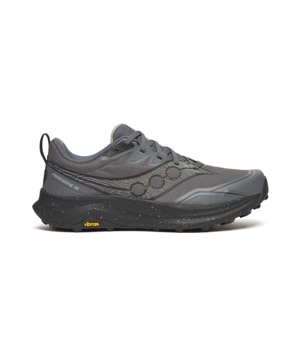 Shoes Peregrine 16 Men