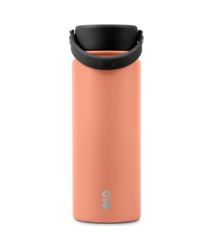Ace Bottle Camden 32 Oz